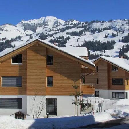 Kohlmeise Zweisimmen